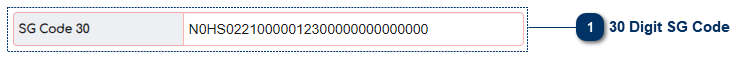4.2. 30 Digit SG Code